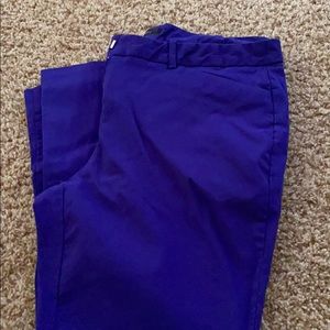 Dress Pants